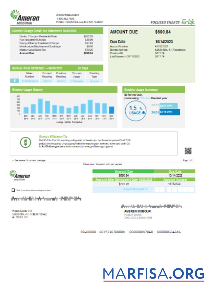 Printable Ameren Missouri electricity utility business bill, page 1, SCR example